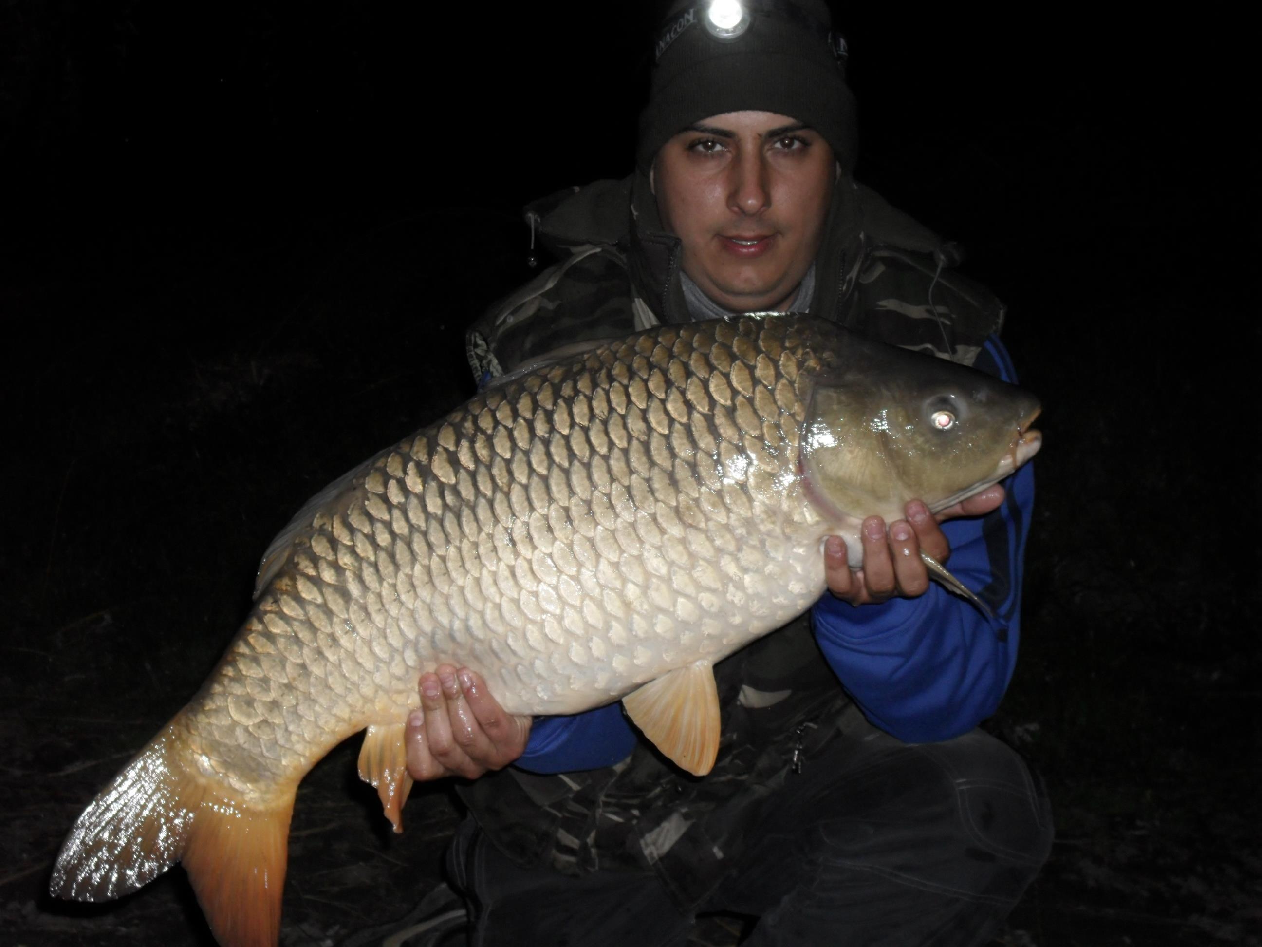 Palic 2012 primavara - SAM_0604.JPG